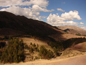 ninguno
