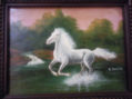 caballo sobre el agua