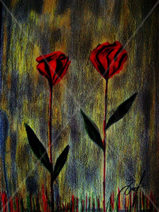 Noche cerrada.
