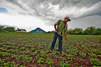 Nicaragua-Isla de...