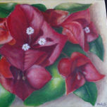 FLORES thumbnail 1