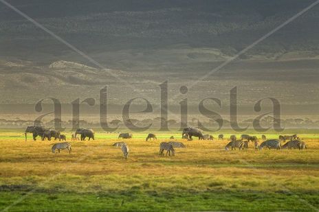 La sabana