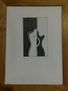 desnudo musical