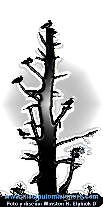 Arbol muerto, no...