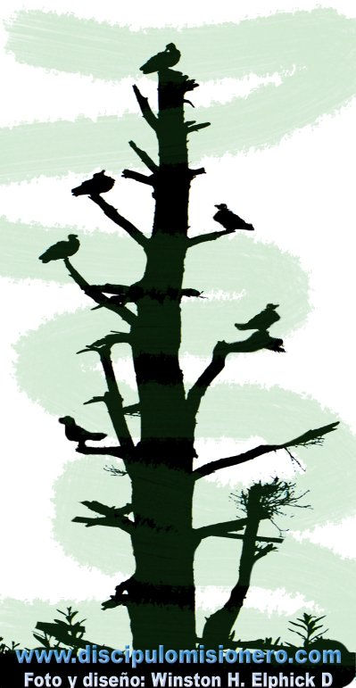 Arbol muerto, no sepultado (III)