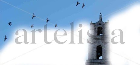 Torres y pájaros