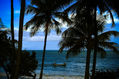THE PENINSULA OF PARIA 003