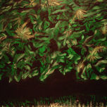 Naturaleza thumbnail 1