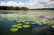 Guatemala