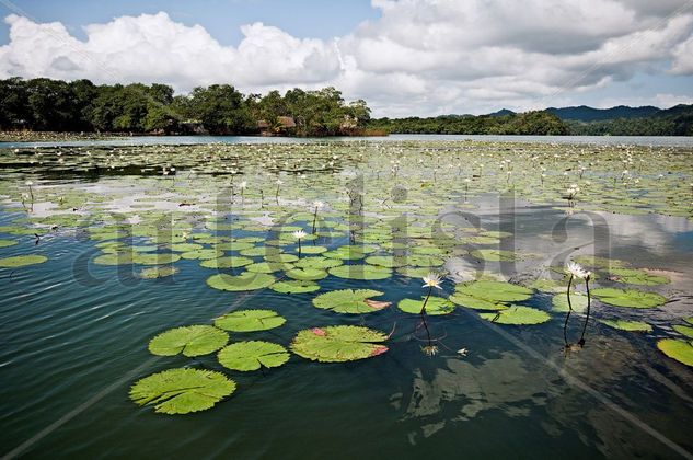 Guatemala 