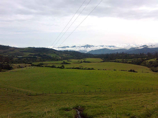 VIVO EN LOS ANDES