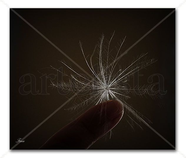 Argent de lluna als dits