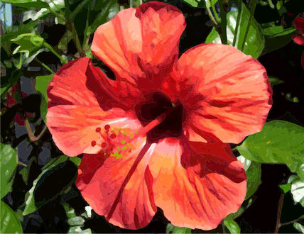 Flor viky