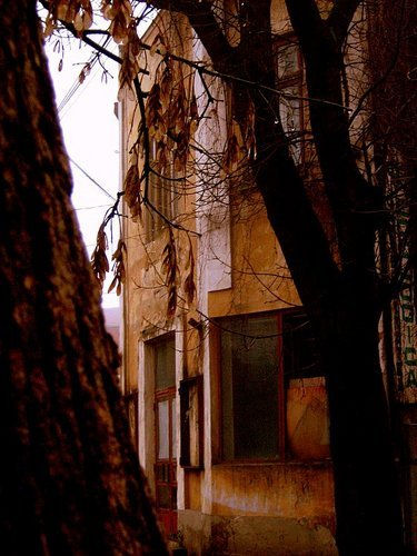 Behind bricks