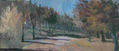 bosque quemado