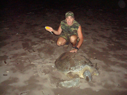 Tortuguero.costa...