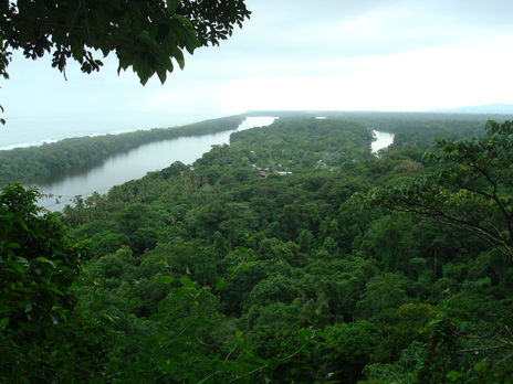 Tortuguero.costa...