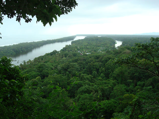 tortuguero.costa rica. iam pico pikin 