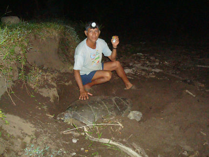 Tortuguero.costa...