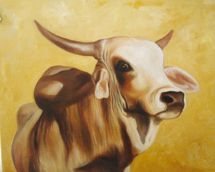 Toro brahma Oil Canvas Animals