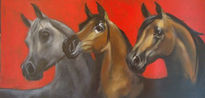 Tres caballos arabes