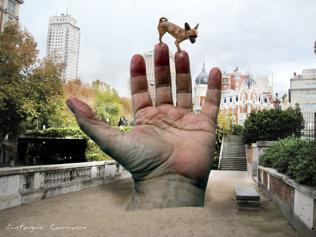 Mano y perrito en un rincón de Madrid, (Hand and a dog in a corner of Madrid)