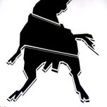 Toros thumbnail 2