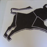 Toros thumbnail 1