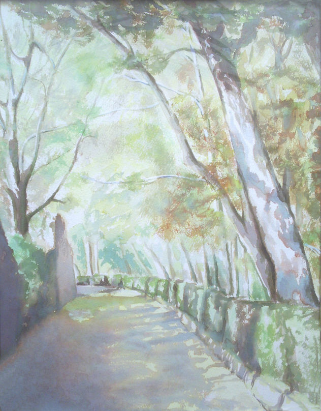 CAMINO EN LA ALHAMBRA