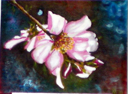 Almendro II