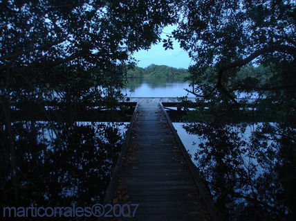 Muelle y laguna
