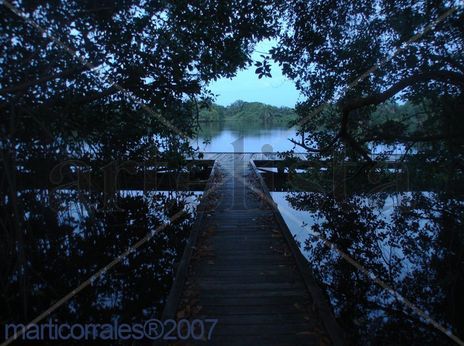 Muelle y laguna