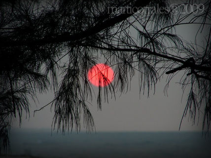 Sol rojo