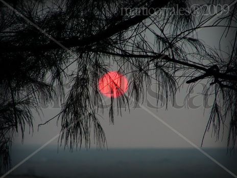 Sol rojo
