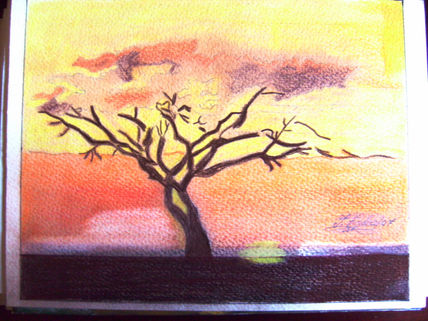 Arbol de la sabana