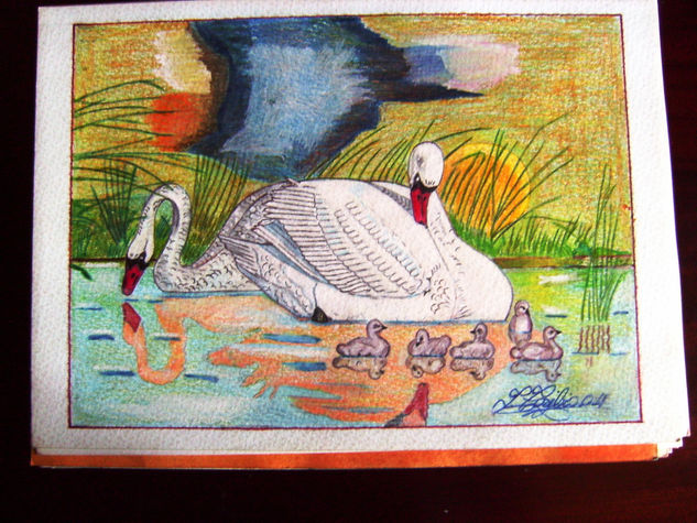 cisnes 