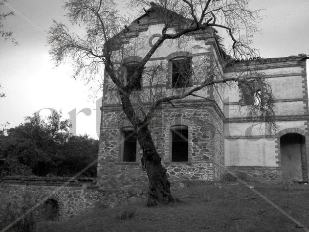 FOTO Nº 244