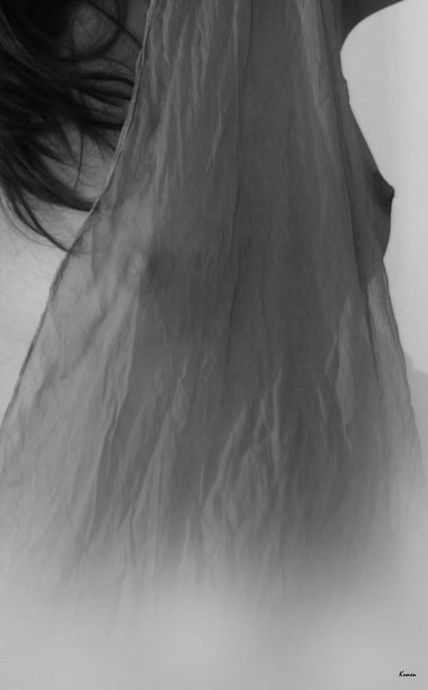 Foto nº 258