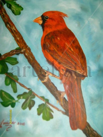 CARDENAL Oil Canvas Animals