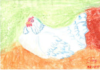 Gallina