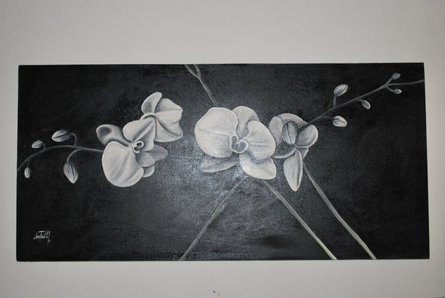 orquideas