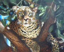 Leopardo