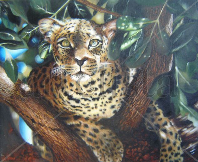 leopardo 