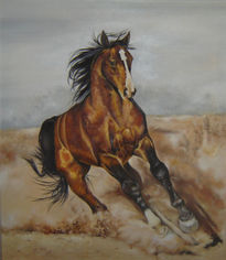 Caballo