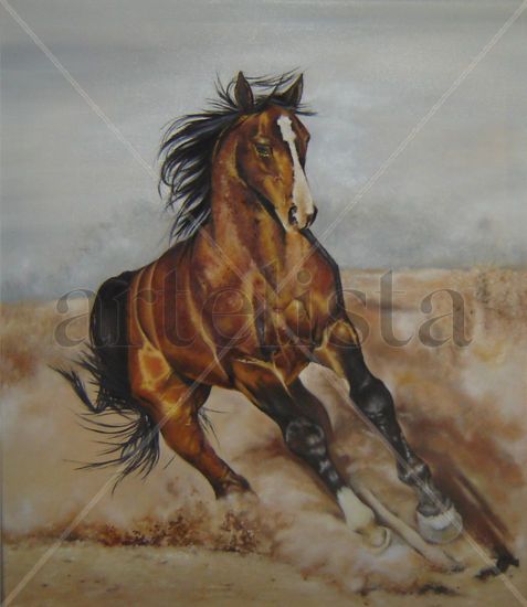 caballo 