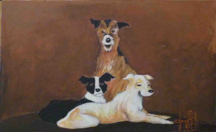 Perro destino
