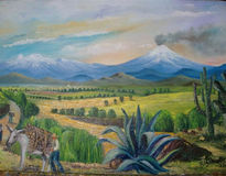 Valle de mexico