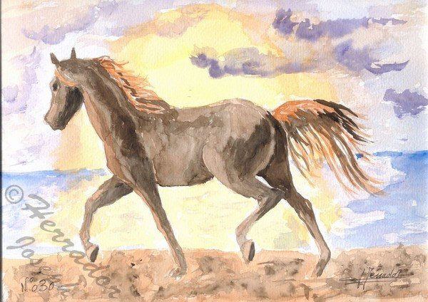 caballo por la playa