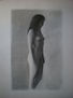 dibujo coni