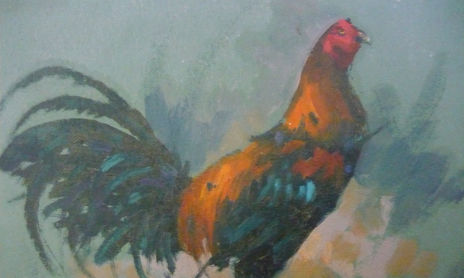 GALLOS